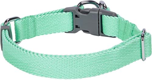 Show full view: Dogs & Cats & Co. Classic Solid Color Polyester Dog Collar, Mint Green, Small: 16-in neck, 5/8-in wide slide 2 of 5