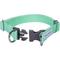 Show in main carousel: Dogs & Cats & Co. Classic Solid Color Polyester Dog Collar, Mint Green, Small: 16-in neck, 5/8-in wide slide 3 of 5