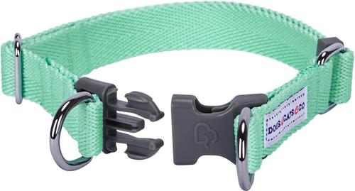 Show full view: Dogs & Cats & Co. Classic Solid Color Polyester Dog Collar, Mint Green, Small: 16-in neck, 5/8-in wide slide 3 of 5