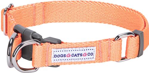 Show full view: Dogs & Cats & Co. Classic Solid Color Polyester Dog Collar, Peach, Large: 26-in neck, 1-in wide slide 1 of 5