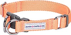 Dogs & Cats & Co. Classic Solid Color Polyester Dog Collar, Peach, Small: 16-in neck, 5/8-in wide