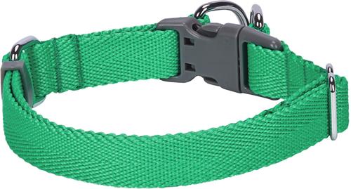 Show full view: Dogs & Cats & Co. Classic Solid Color Polyester Dog Collar, Peacock Green, Medium: 20-in neck, 3/4-in wide slide 2 of 5