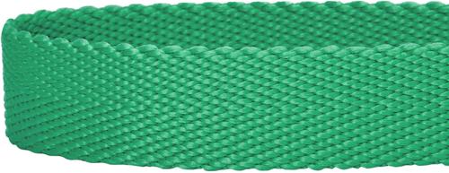 Show full view: Dogs & Cats & Co. Classic Solid Color Polyester Dog Collar, Peacock Green, Medium: 20-in neck, 3/4-in wide slide 4 of 5