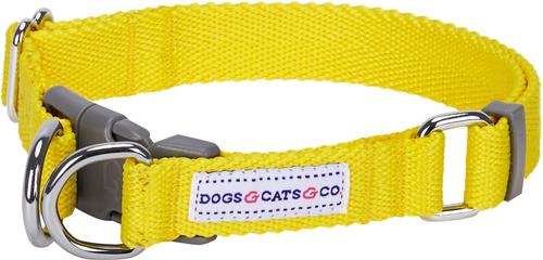 Show full view: Dogs & Cats & Co. Classic Solid Color Polyester Dog Collar, Vibrant Yellow, Small: 16-in neck, 5/8-in wide slide 1 of 6