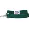 Show in main carousel: Dogs & Cats & Co. Classic Solid Color Polyester Dog Leash, Alpine Green, Small: 5-ft long, 3/4-in wide slide 2 of 3