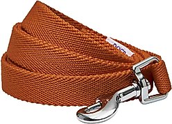 Dogs & Cats & Co. Classic Solid Color Polyester Dog Leash, Caramel, Small: 5-ft long, 3/4-in wide
