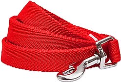 Dogs & Cats & Co. Classic Solid Color Polyester Dog Leash, Fiery Red, Large: 4-ft long, 1-in wide