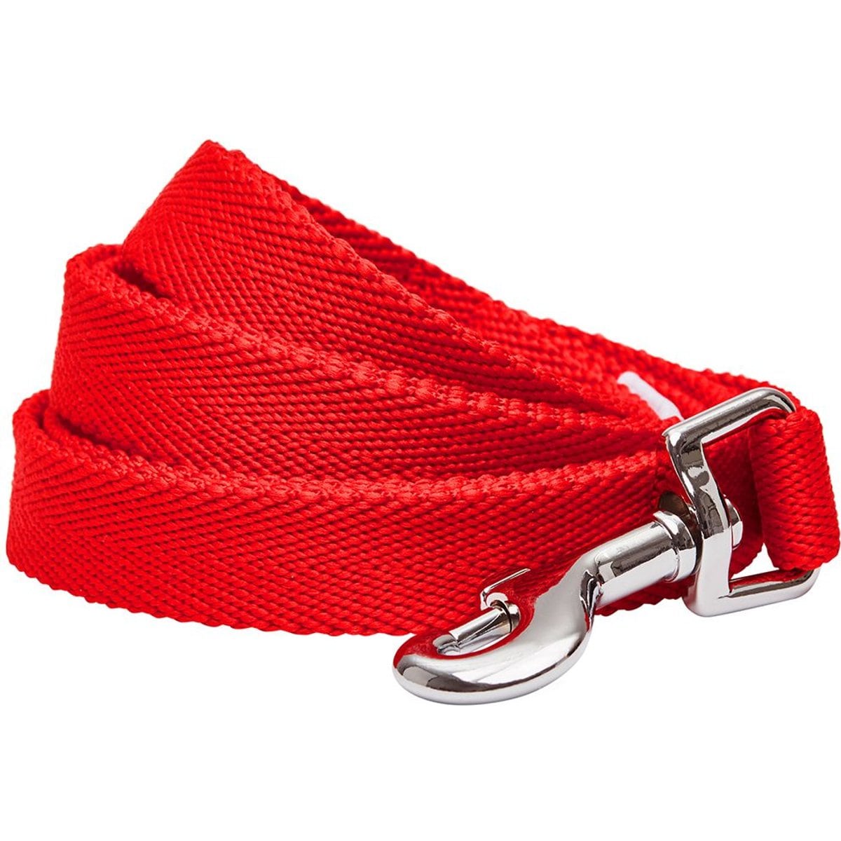 Dogs & Cats & Co. Classic Solid Color Polyester Dog Leash, Fiery Red, Large: 4-ft long, 1-in wide