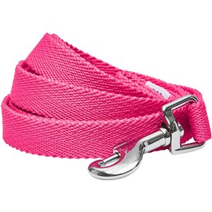 Dogs & Cats & Co. Classic Solid Color Polyester Dog Leash, Hot Pink, Medium: 5-ft long, 5/8-in wide