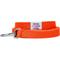 Show in main carousel: Dogs & Cats & Co. Classic Solid Color Polyester Dog Leash, Papaya, Large: 4-ft long, 1-in wide slide 2 of 3