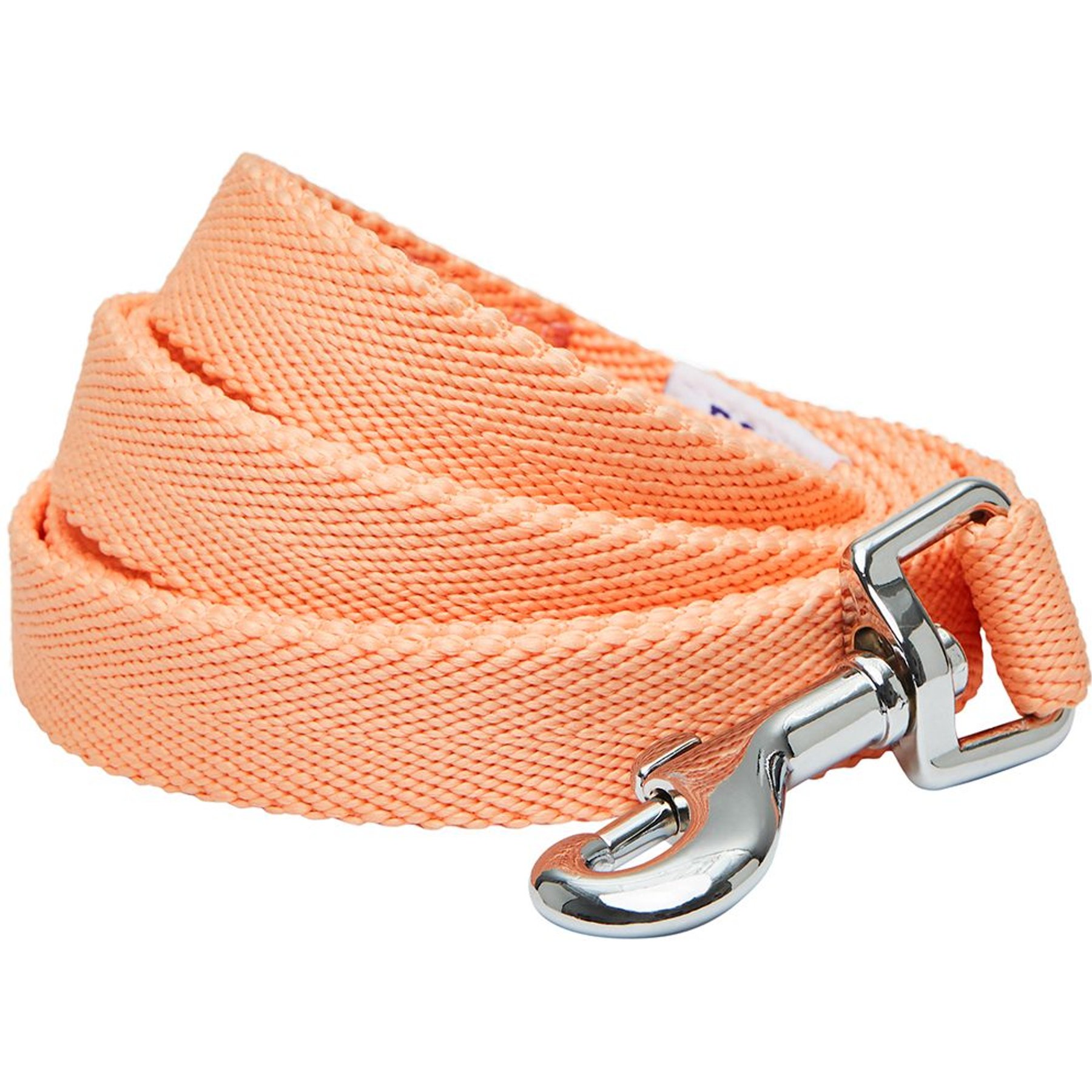 Dogs & Cats & Co. Classic Solid Color Polyester Dog Leash, Peach, Large: 4-ft long, 1-in wide