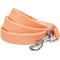 Show in main carousel: Dogs & Cats & Co. Classic Solid Color Polyester Dog Leash, Peach, Large: 4-ft long, 1-in wide slide 1 of 3