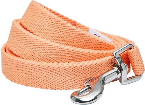 Show full view: Dogs & Cats & Co. Classic Solid Color Polyester Dog Leash, Peach, Large: 4-ft long, 1-in wide slide 1 of 3