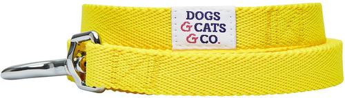 Show full view: Dogs & Cats & Co. Classic Solid Color Polyester Dog Leash, Vibrant Yellow, Medium: 5-ft long, 5/8-in wide slide 2 of 3