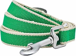 Dogs & Cats & Co. Contrast Striped Dog Leash, Bright Green/Sand, Large: 4-ft long, 1-in wide