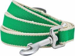 Dogs & Cats & Co. Contrast Striped Dog Leash, Bright Green/Sand, Medium: 5-ft long, 5/8-in wide