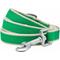 Show in main carousel: Dogs & Cats & Co. Contrast Striped Dog Leash, Bright Green/Sand, Small: 5-ft long, 3/4-in wide slide 1 of 4