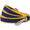 Show in main carousel: Dogs & Cats & Co. Contrast Striped Dog Leash, Navy/Bright Yellow, Large: 4-ft long, 1-in wide slide 1 of 4