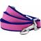 Show in main carousel: Dogs & Cats & Co. Contrast Striped Dog Leash, Rose Violet/Royal Blue, Small: 5-ft long, 3/4-in wide slide 1 of 4