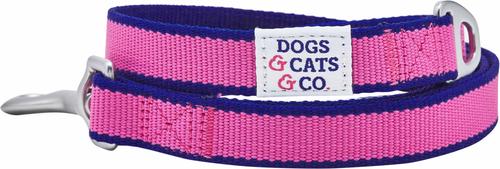 Show full view: Dogs & Cats & Co. Contrast Striped Dog Leash, Rose Violet/Royal Blue, Small: 5-ft long, 3/4-in wide slide 2 of 4