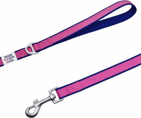 Show full view: Dogs & Cats & Co. Contrast Striped Dog Leash, Rose Violet/Royal Blue, Small: 5-ft long, 3/4-in wide slide 3 of 4