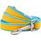 Show in main carousel: Dogs & Cats & Co. Contrast Striped Dog Leash, Solar Yellow/Capri Blue, Large: 4-ft long, 1-in wide slide 1 of 4