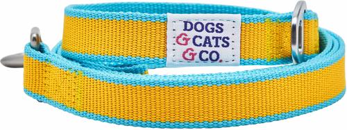 Show full view: Dogs & Cats & Co. Contrast Striped Dog Leash, Solar Yellow/Capri Blue, Medium: 5-ft long, 5/8-in wide slide 2 of 4