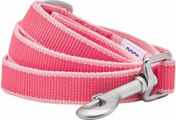 Dogs & Cats & Co. Contrast Striped Dog Leash, Stunning Brink Pink/Ballerina Pink, Medium: 5-ft long, 5/8-in wide