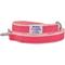 Show in main carousel: Dogs & Cats & Co. Contrast Striped Dog Leash, Stunning Brink Pink/Ballerina Pink, Small: 5-ft long, 3/4-in wide slide 3 of 5
