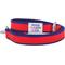 Show in main carousel: Dogs & Cats & Co. Contrast Striped Dog Leash, Tomato Red/Navy, Medium: 5-ft long, 5/8-in wide slide 2 of 4