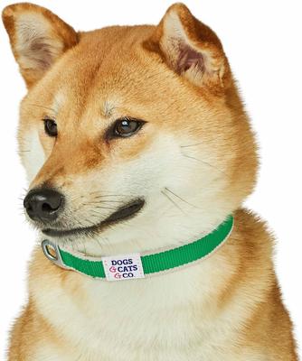Show full view: Dogs & Cats & Co. Contrast Striped Polyester Dog Collar, Bright Green & Sand, Small: 16-in neck, 5/8-in wide slide 3 of 7