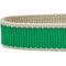 Show in main carousel: Dogs & Cats & Co. Contrast Striped Polyester Dog Collar, Bright Green & Sand, Small: 16-in neck, 5/8-in wide slide 6 of 7