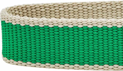 Show full view: Dogs & Cats & Co. Contrast Striped Polyester Dog Collar, Bright Green & Sand, Small: 16-in neck, 5/8-in wide slide 6 of 7