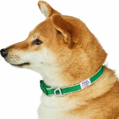 Show full view: Dogs & Cats & Co. Contrast Striped Polyester Dog Collar, Bright Green & Sand, Small: 16-in neck, 5/8-in wide slide 4 of 7