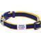 Show in main carousel: Dogs & Cats & Co. Contrast Striped Polyester Dog Collar, Navy & Bright Yellow, Small: 16-in neck, 5/8-in wide slide 1 of 7