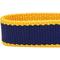 Show in main carousel: Dogs & Cats & Co. Contrast Striped Polyester Dog Collar, Navy & Bright Yellow, Small: 16-in neck, 5/8-in wide slide 6 of 7