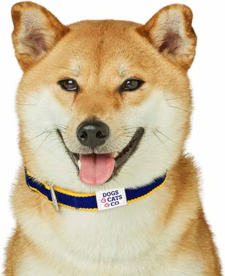 Show full view: Dogs & Cats & Co. Contrast Striped Polyester Dog Collar, Navy & Bright Yellow, Small: 16-in neck, 5/8-in wide slide 4 of 7
