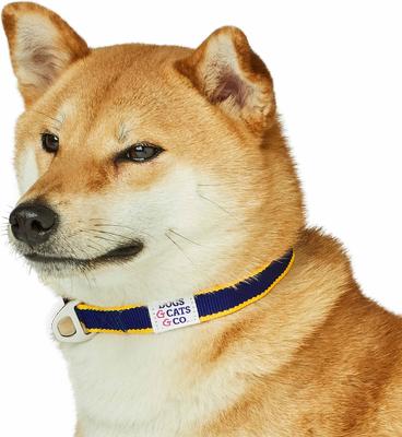 Show full view: Dogs & Cats & Co. Contrast Striped Polyester Dog Collar, Navy & Bright Yellow, Small: 16-in neck, 5/8-in wide slide 3 of 7