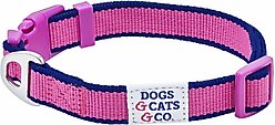 Dogs & Cats & Co. Contrast Striped Polyester Dog Collar, Rose Violet & Royal Blue, Small: 16-in neck, 5/8-in wide