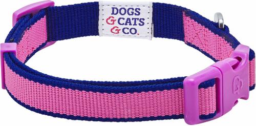 Show full view: Dogs & Cats & Co. Contrast Striped Polyester Dog Collar, Rose Violet & Royal Blue, Small: 16-in neck, 5/8-in wide slide 4 of 6