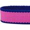 Show in main carousel: Dogs & Cats & Co. Contrast Striped Polyester Dog Collar, Rose Violet & Royal Blue, Small: 16-in neck, 5/8-in wide slide 5 of 6