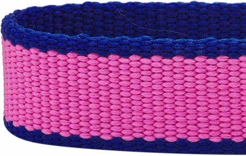 Show full view: Dogs & Cats & Co. Contrast Striped Polyester Dog Collar, Rose Violet & Royal Blue, Small: 16-in neck, 5/8-in wide slide 5 of 6
