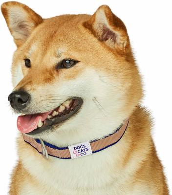 Show full view: Dogs & Cats & Co. Contrast Striped Polyester Dog Collar, Tan & Navy, Large: 26-in neck, 1-in wide slide 2 of 6
