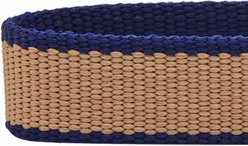 Dogs & Cats & Co. Contrast Striped Polyester Dog Collar, Tan & Navy, Medium: 20-in neck, 3/4-in wide slide 2 of 6