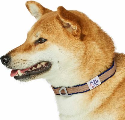 Show full view: Dogs & Cats & Co. Contrast Striped Polyester Dog Collar, Tan & Navy, Medium: 20-in neck, 3/4-in wide slide 4 of 7