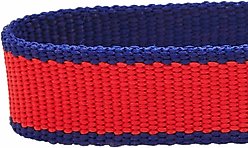 Dogs & Cats & Co. Contrast Striped Polyester Dog Collar, Tomato Red & Navy, Large: 26-in neck, 1-in wide slide 2 of 6