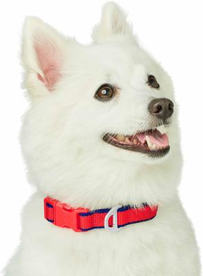 Show full view: Dogs & Cats & Co. Contrast Striped Polyester Dog Collar, Tomato Red & Navy, Large: 26-in neck, 1-in wide slide 3 of 7