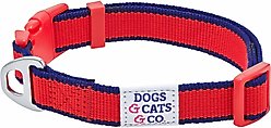 Dogs & Cats & Co. Contrast Striped Polyester Dog Collar, Tomato Red & Navy, Small: 16-in neck, 5/8-in wide