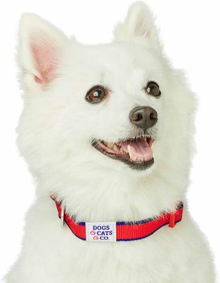 Show full view: Dogs & Cats & Co. Contrast Striped Polyester Dog Collar, Tomato Red & Navy, Small: 16-in neck, 5/8-in wide slide 3 of 6