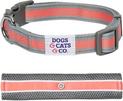 Dogs & Cats & Co. Daily Essential with Add-on Accessory Polyester Dog Collar, Grey/Coral, Medium: 20-in neck, 3/4-in wide